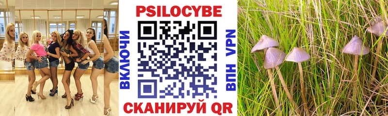 Псилоцибиновые грибы прущие грибы Лабинск